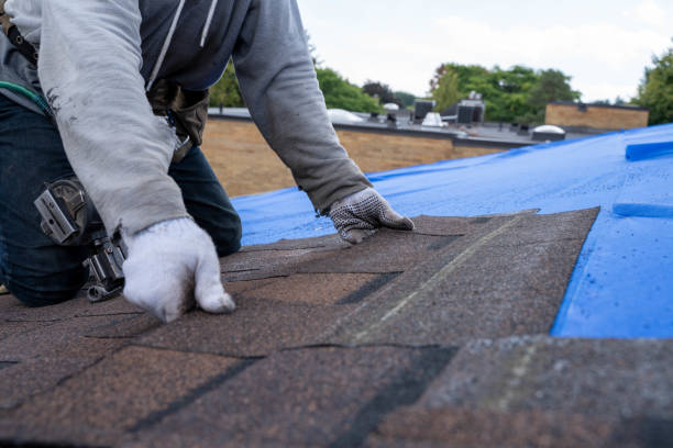 Best Roof Waterproofing Services  in Highland Park, NJ